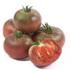 Cherokee Purple Tomato Seeds (Organic) -Brandt Sales snv8188 a
