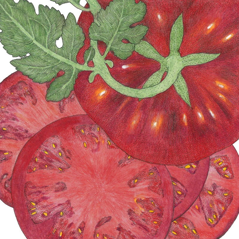 Brandywine Black Tomato Seeds (Organic) 4 Brandywine Black Tomato Seeds (Organic) - Image 2