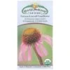 Strictly Medicinal Organic Coneflower, Narrow-leaved