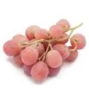 Table Grape Vine - Red Globe -Brandt Sales table grape vine red globe