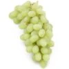 Table Grape Vine - Thompson (Seedless) -Brandt Sales table grape vine thompson seedless