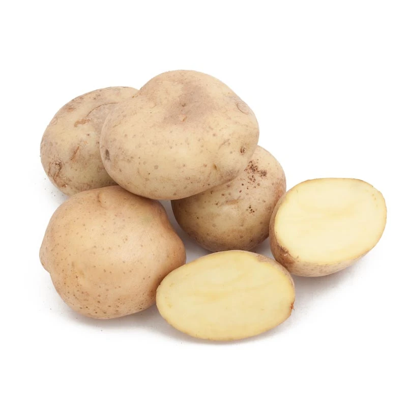 Yellow Finn Potato (Organic) 3 Yellow Finn Potato (Organic)